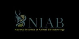 NIAB jobs Notification Telugu Latest