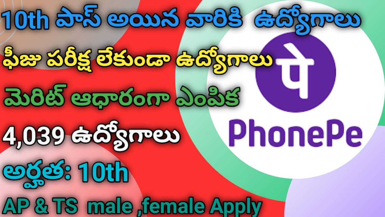 Phonepe Jobs Notification 2024 Telugu Latest